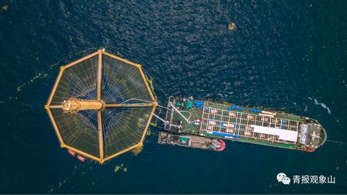 率先突破,作出更多青岛贡献 省政府工作报告20余处提及 青岛元素