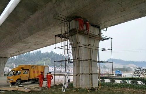 跨海大桥桥墩设计之谜 庞大基座与纤细“颈部”的科学博弈