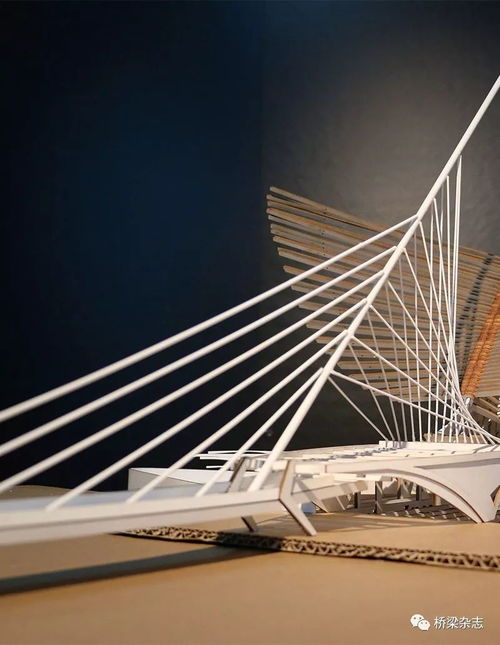 基于Tekla Structures的桥梁结构设计实践与应用探析