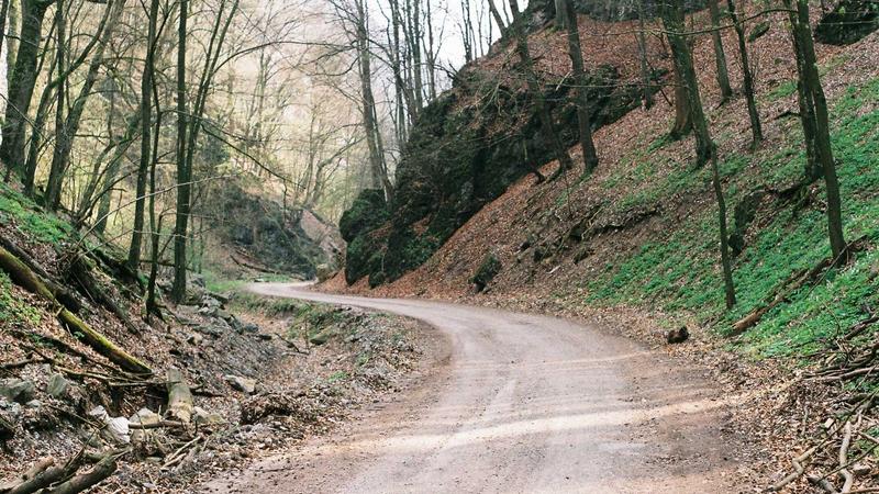 Real Madrid lên kế hoạch nâng cấp đội hình: Nhắm Enzo Fernández và thay thế David Alaba